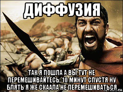 диффузия так я пошла а вы тут не перемешивайтесь, 10 минут спустя ну блять я же скаала не перемешиваться, Мем Это Спарта