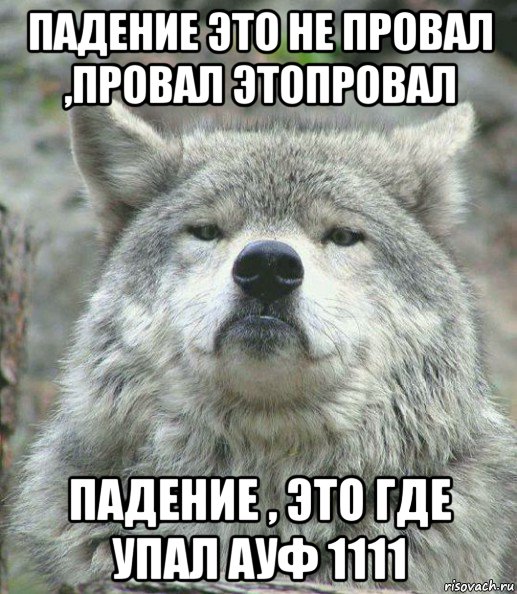 падение это не провал ,провал этопровал падение , это где упал ауф 1111, Мем    Гордый волк