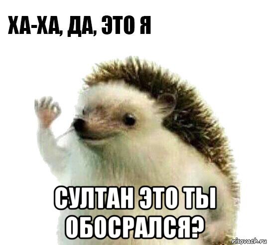  султан это ты обосрался?