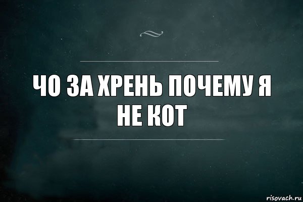 чо за хрень почему я не кот