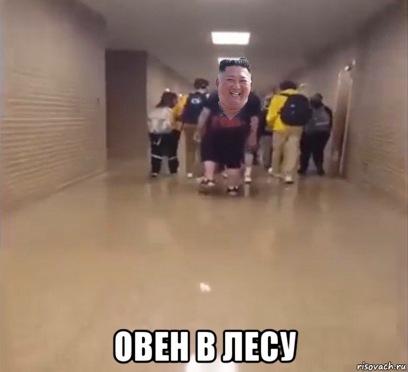  овен в лесу