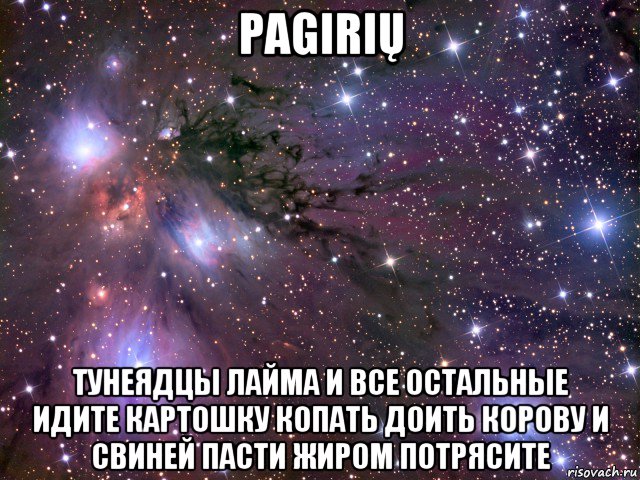 pagirių тунеядцы лайма и все остальные идите картошку копать доить корову и свиней пасти жиром потрясите, Мем Космос