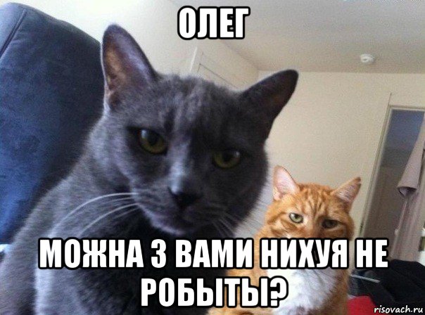 олег можна з вами нихуя не робыты?