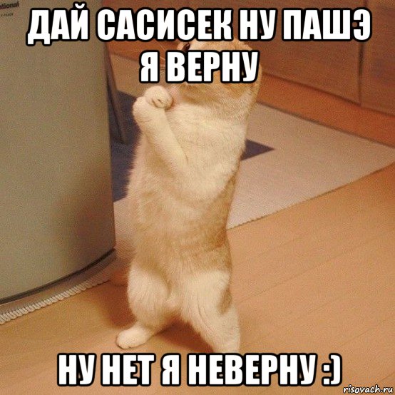 дай сасисек ну пашэ я верну ну нет я неверну :)