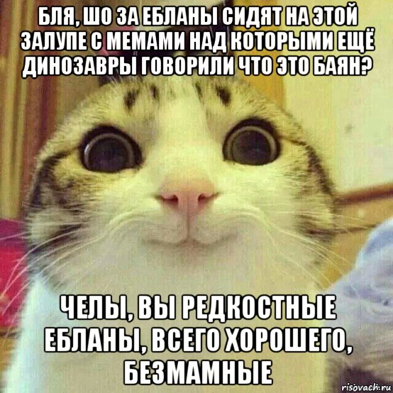 бля, шо за ебланы сидят на этой залупе с мемами над которыми ещё динозавры говорили что это баян? челы, вы редкостные ебланы, всего хорошего, безмамные, Мем       Котяка-улыбака