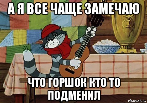 а я все чаще замечаю что горшок кто то подменил, Мем Грустный Матроскин с гитарой