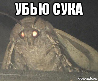 убью сука , Мем Матылёк