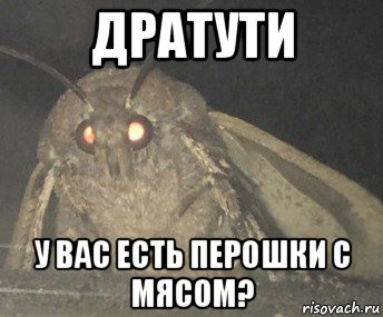 дратути у вас есть перошки с мясом?