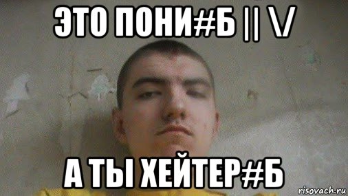 это пони#б || \/ а ты хейтер#б