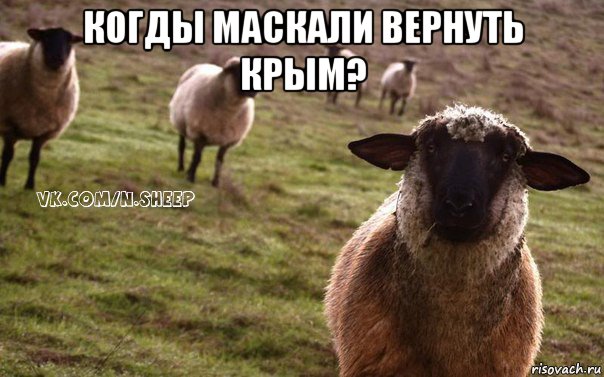 когды маскали вернуть крым? , Мем  Наивная Овца