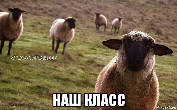  наш класс