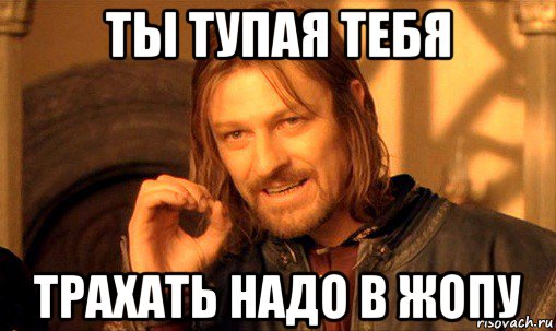 ты тупая тебя трахать надо в жопу, Мем Нельзя просто так взять и (Боромир мем)