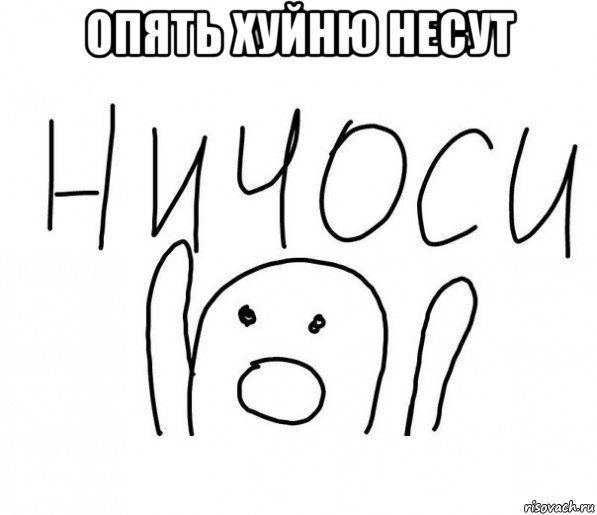 опять хуйню несут , Мем  Ничоси