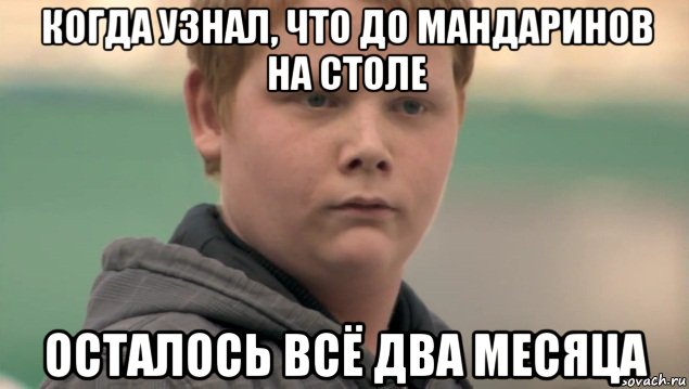 когда узнал, что до мандаринов на столе осталось всё два месяца, Мем    нифигасе