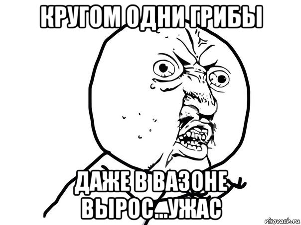 кругом одни грибы даже в вазоне вырос...ужас, Мем Ну почему (белый фон)