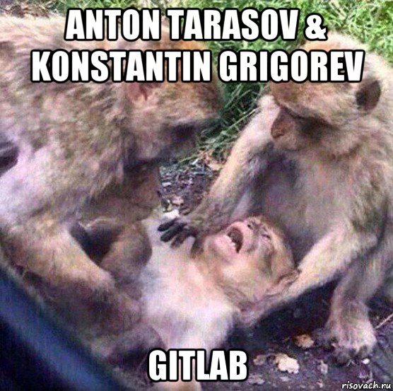 anton tarasov & konstantin grigorev gitlab