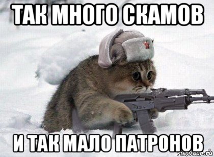 так много скамов и так мало патронов, Мем Пидрилы ебаные