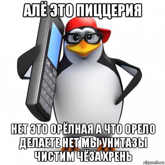 алё это пиццерия нет это орёлная а что орело делаете нет мы унитазы чистим чёза хрень, Мем   Пингвин звонит