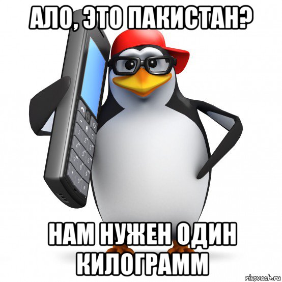 ало, это пакистан? нам нужен один килограмм, Мем   Пингвин звонит