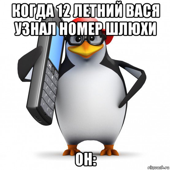 когда 12 летний вася узнал номер шлюхи он:, Мем   Пингвин звонит