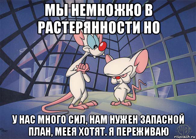 мы немножко в растерянности но у нас много сил, нам нужен запасной план, меея хотят. я переживаю, Мем ПИНКИ И БРЕЙН