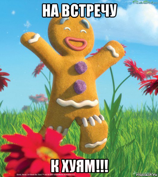 на встречу к хуям!!!, Мем Pohyj