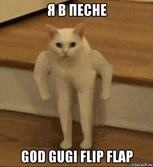 я в песне god gugi flip flap, Мем  Полукот