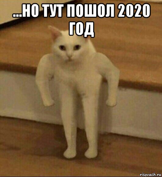 ...но тут пошол 2020 год , Мем  Полукот