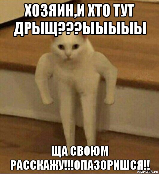 хозяин,и хто тут дрыщ???ыыыыы ща своюм расскажу!!!опазоришся!!, Мем  Полукот