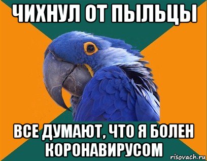 чихнул от пыльцы все думают, что я болен коронавирусом, Мем Попугай параноик