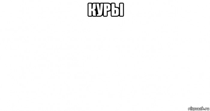 куры 