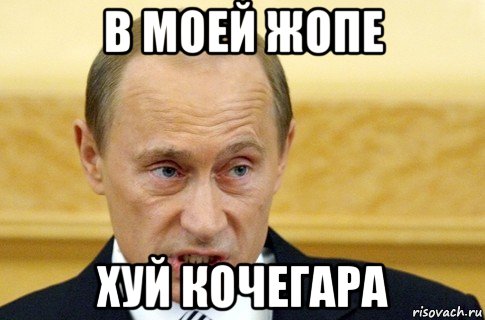 в моей жопе хуй кочегара, Мем путин