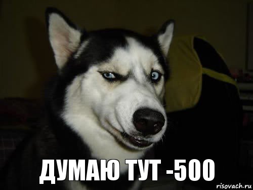 ДУМАЮ ТУТ -500