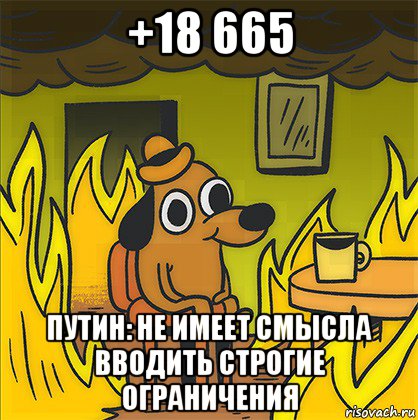 +18 665 путин: не имеет смысла вводить строгие ограничения, Мем Собака в огне