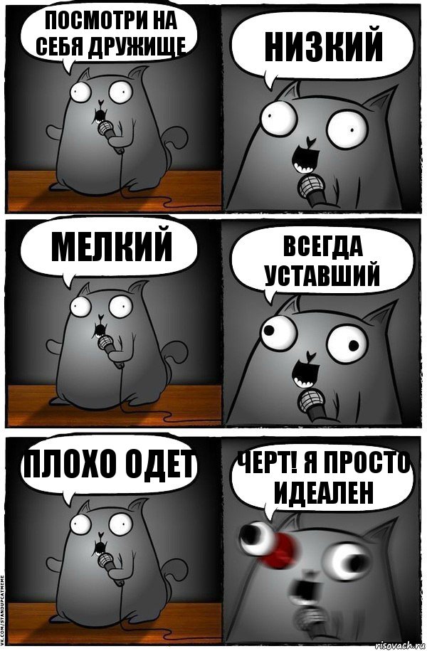 Посмотри на себя дружище Низкий Мелкий Всегда уставший Плохо одет Черт! Я просто идеален, Комикс  Стендап-кот