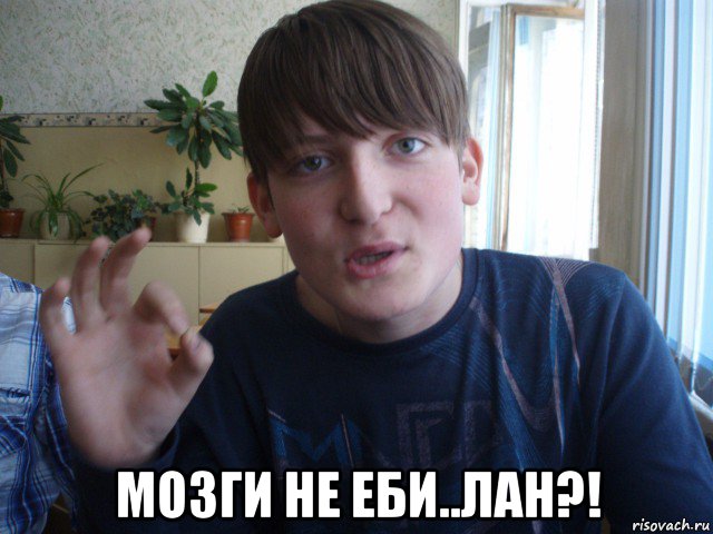  мозги не еби..лан?!, Мем stevaner