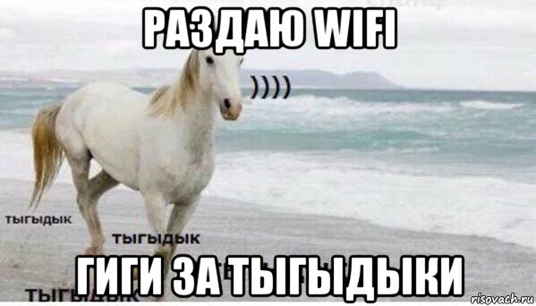 раздаю wifi гиги за тыгыдыки, Мем   Тыгыдык