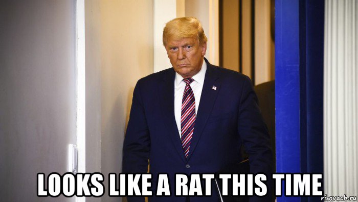  looks like a rat this time