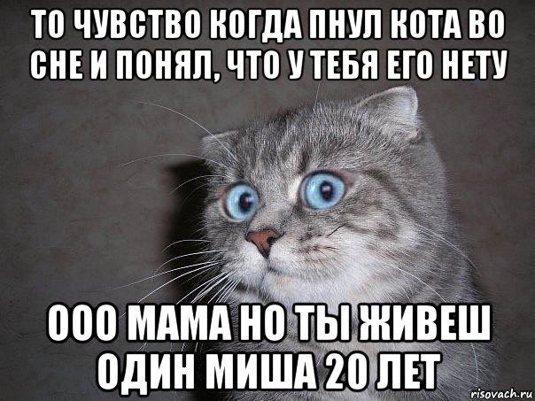 то чувство когда пнул кота во сне и понял, что у тебя его нету ооо мама но ты живеш один миша 20 лет