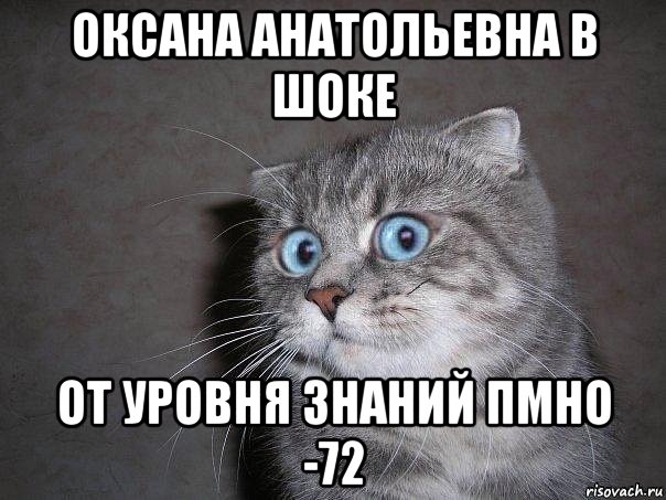 оксана анатольевна в шоке от уровня знаний пмно -72, Мем  удивлённый кот