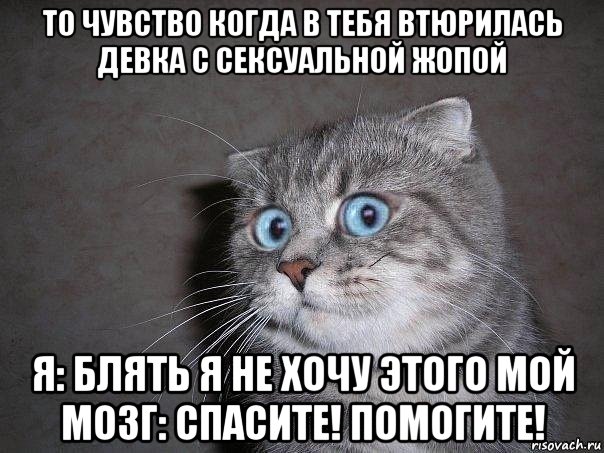 то чувство когда в тебя втюрилась девка с сексуальной жопой я: блять я не хочу этого мой мозг: спасите! помогите!