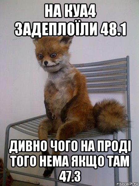 на куа4 задеплоїли 48.1 дивно чого на проді того нема якщо там 47.3, Мем Упоротая лиса