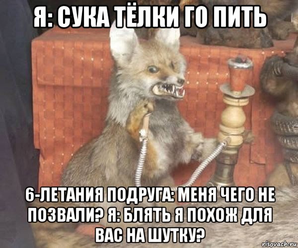 я: сука тёлки го пить 6-летания подруга: меня чего не позвали? я: блять я похож для вас на шутку?