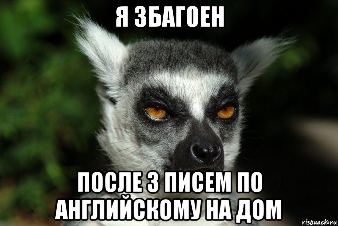 я збагоен после 3 писем по английскому на дом