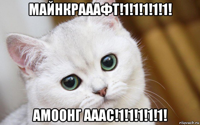 майнкрааафт!1!1!1!1!1! амоонг ааас!1!1!1!1!1!, Мем  В мире грустит один котик