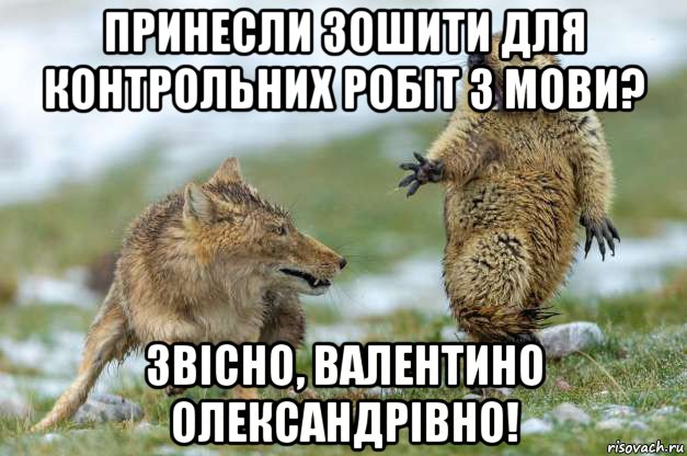 принесли зошити для контрольних робіт з мови? звісно, валентино олександрівно!, Мем Волк и суслик