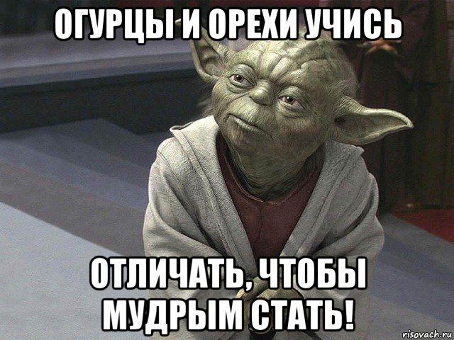 огурцы и орехи учись отличать, чтобы мудрым стать!, Мем  Йода