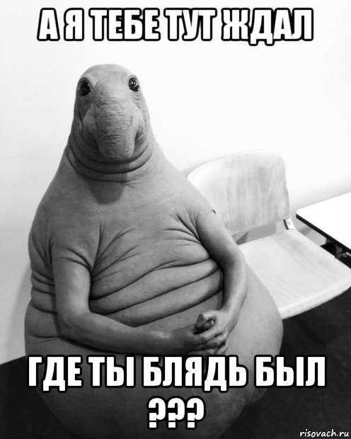 а я тебе тут ждал где ты блядь был ???