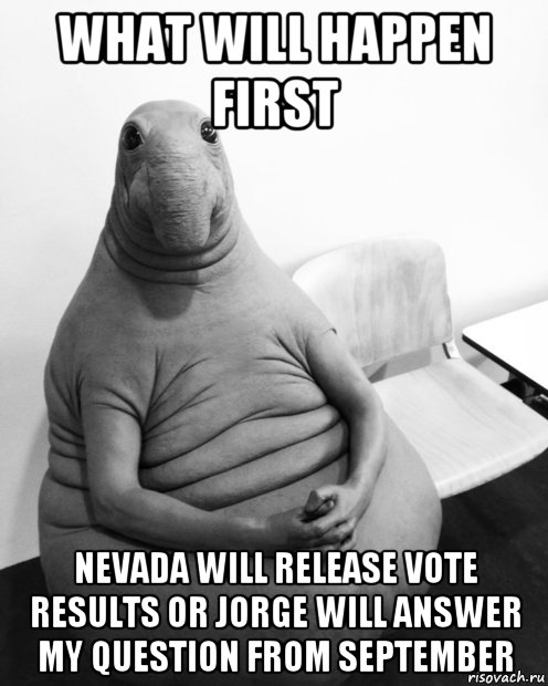 what will happen first nevada will release vote results or jorge will answer my question from september, Мем  Ждун