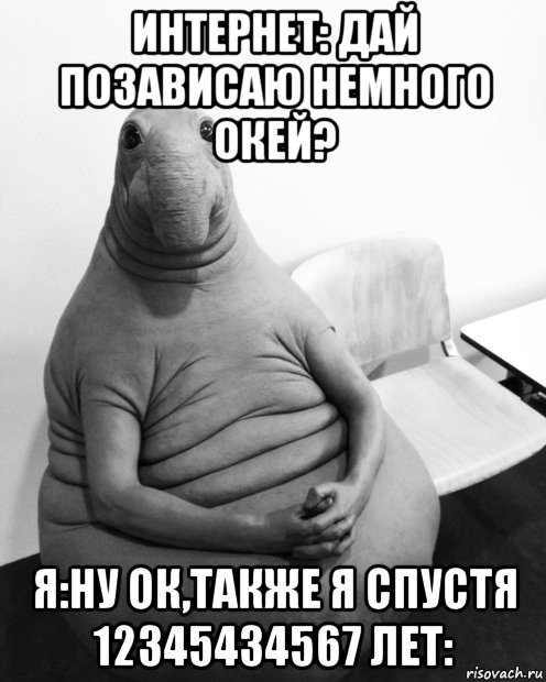 интернет: дай позависаю немного окей? я:ну ок,также я спустя 12345434567 лет: